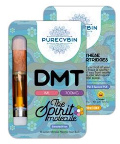 Buy DMT 1ml Purecybin – 700mg